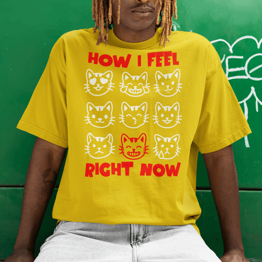 Person wearing “How I Feel Right Now” cat faces t-shirt, unisex soft cotton graphic tee by LostLogicCo Canada