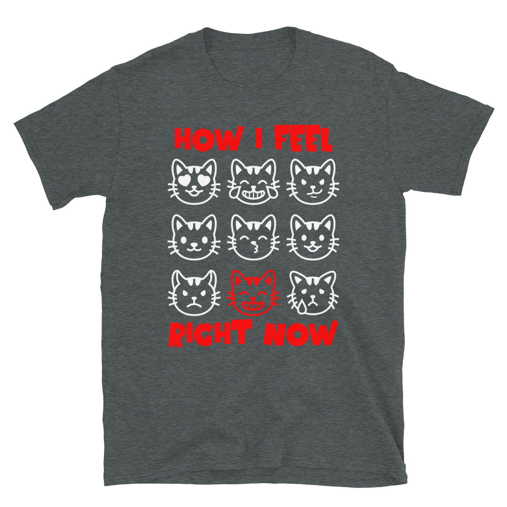 Unisex t-shirt with nine expressive cat faces and “How I Feel Right Now” text, funny mood graphic tee by LostLogicCo Canada
