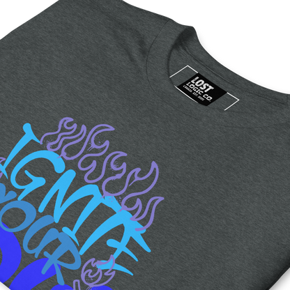 Ignite Your Soul Graphic T-Shirt, Motivational Gildan 64000 Unisex Softstyle T-Shirt