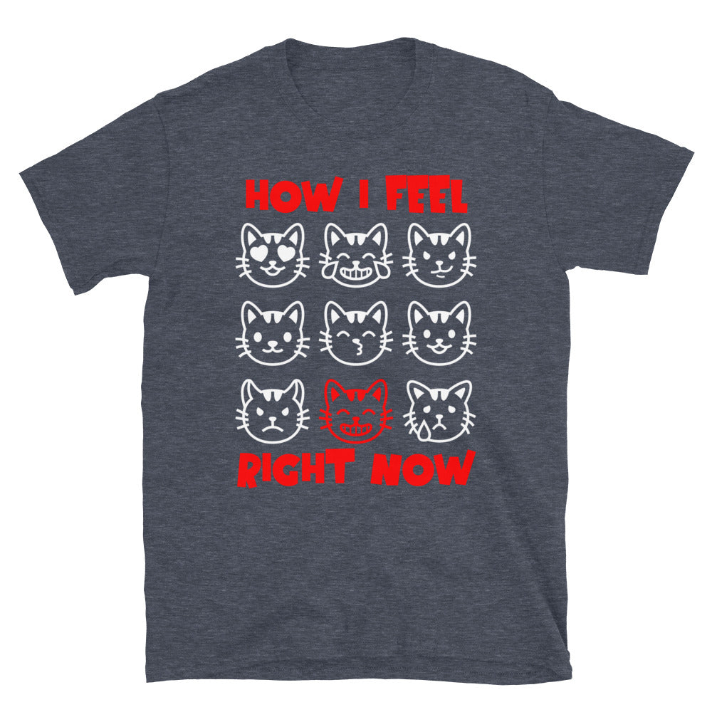 Unisex t-shirt with nine expressive cat faces and “How I Feel Right Now” text, funny mood graphic tee by LostLogicCo Canada