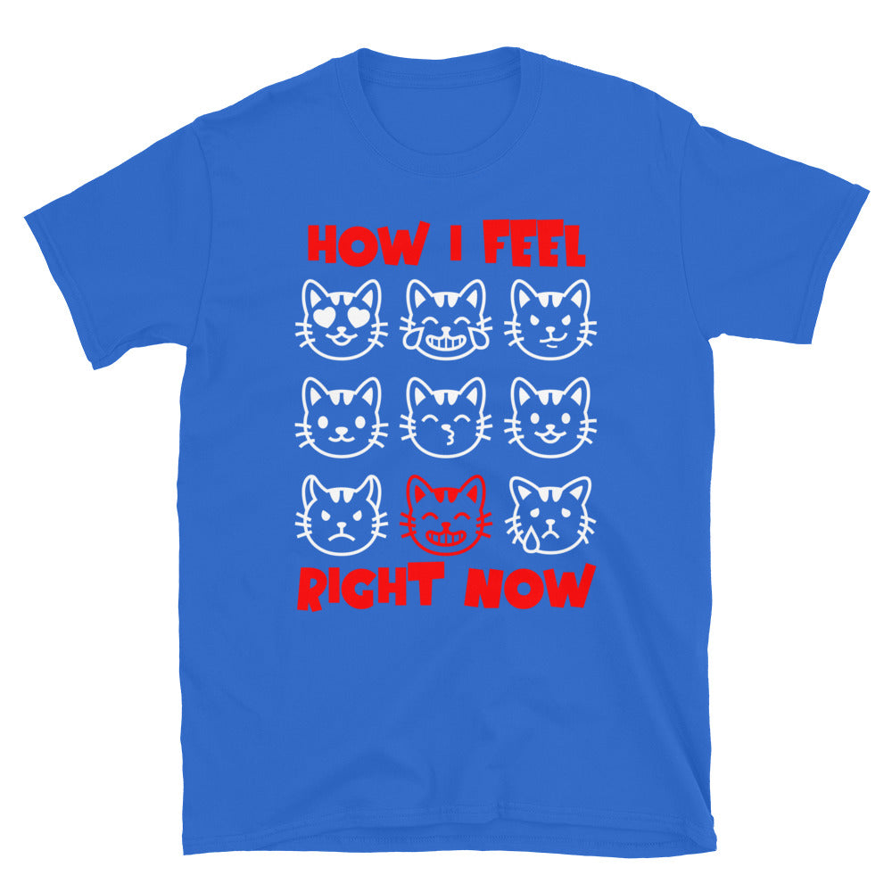 Unisex t-shirt with nine expressive cat faces and “How I Feel Right Now” text, funny mood graphic tee by LostLogicCo Canada